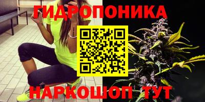 соль ск Моздок