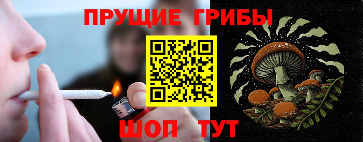 Галлюциногенные грибы Cubensis Сосновый Бор