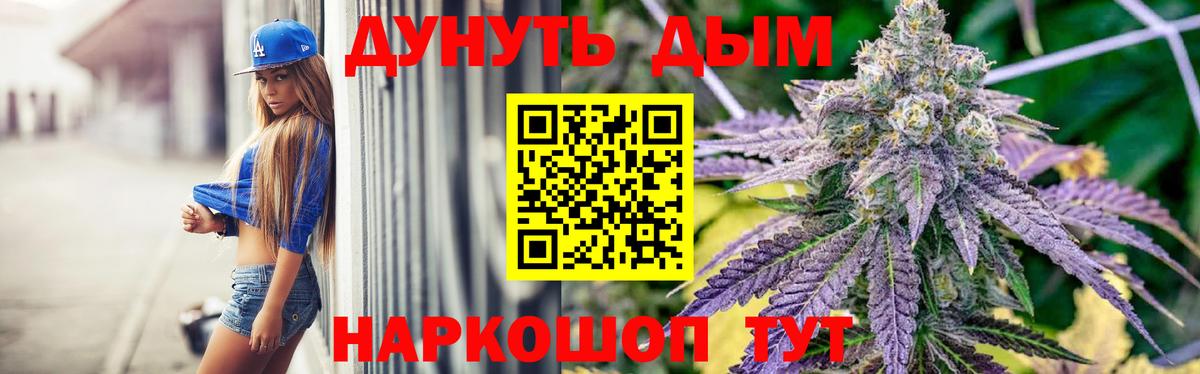 Сосновый Бор  Бошки Шишки планчик  Конопля SATIVA & INDICA  МАРИХУАНА Amnesia  Каннабис семена  Вход с VPN 